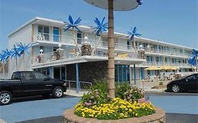 Blue Palms Motel Wildwood New Jersey